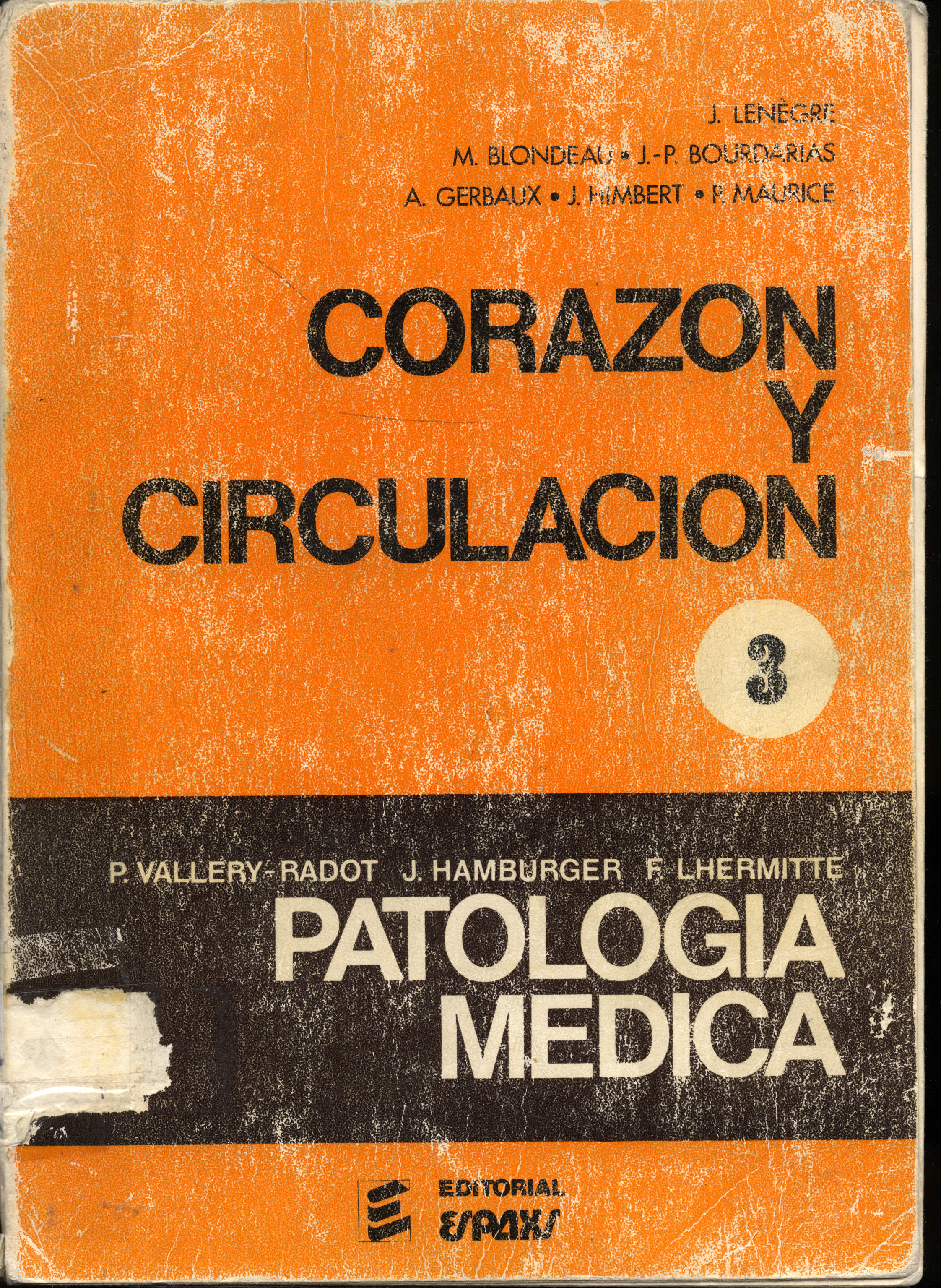 Corazon y circulacion 3