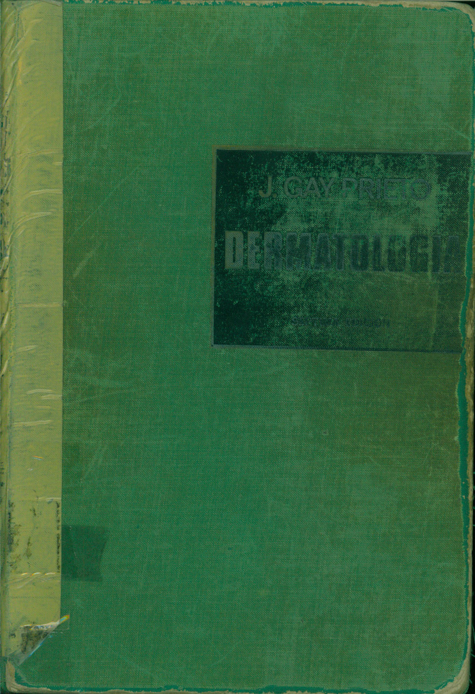 Dermatologia