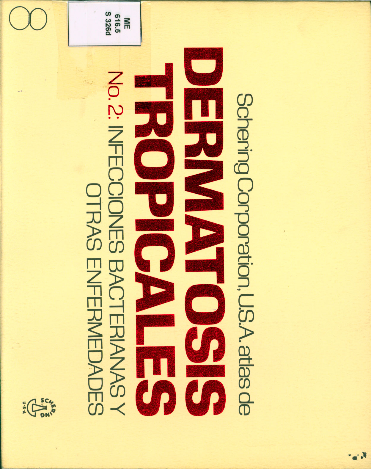 Determatosis Tropicales Infecciones bacterianas y otras enfermedades
      <i>es</i>