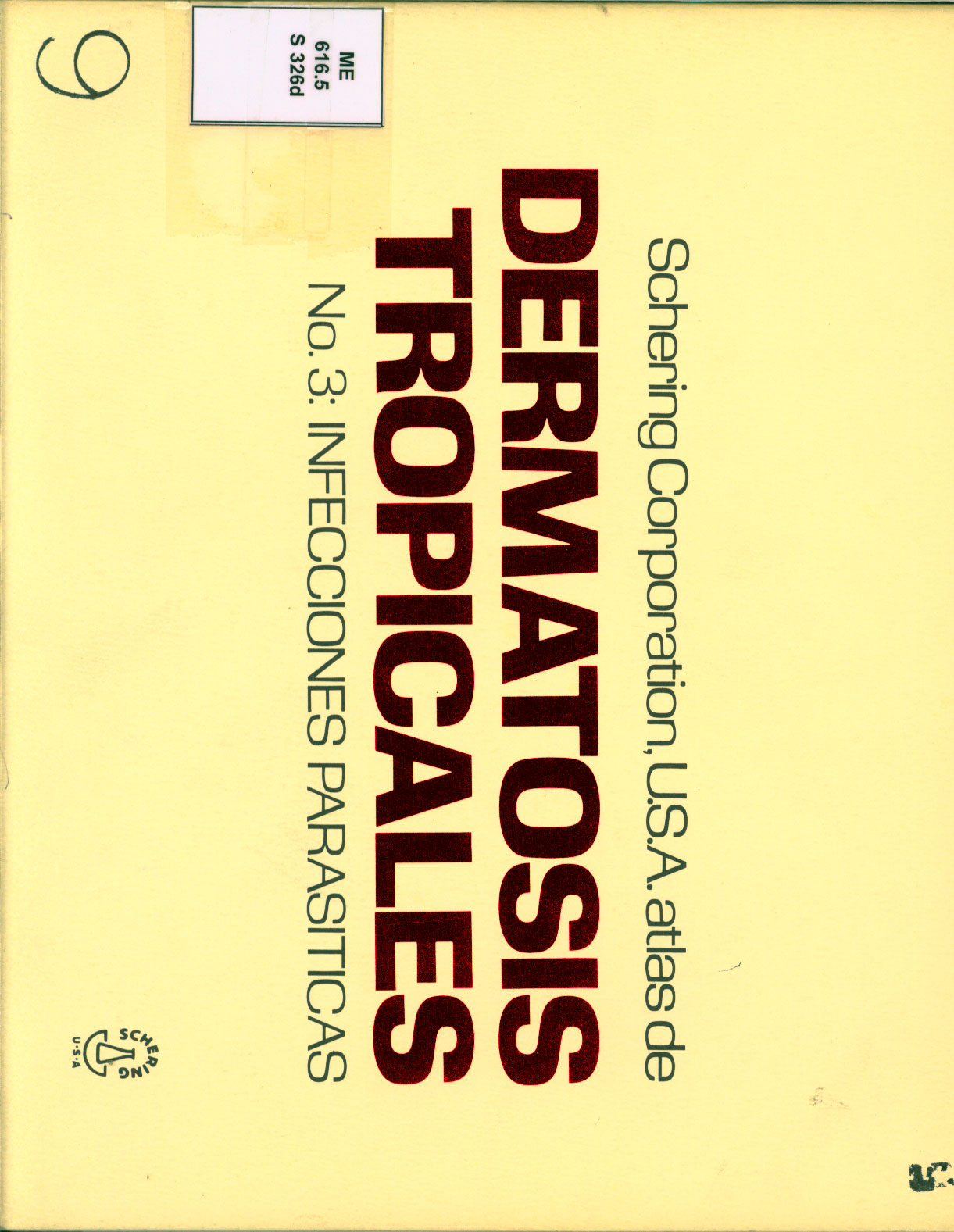 Determatosis Tropicales Infecciones parasiticas
      <i>es</i>