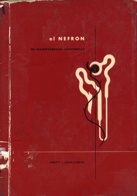 El Nefron