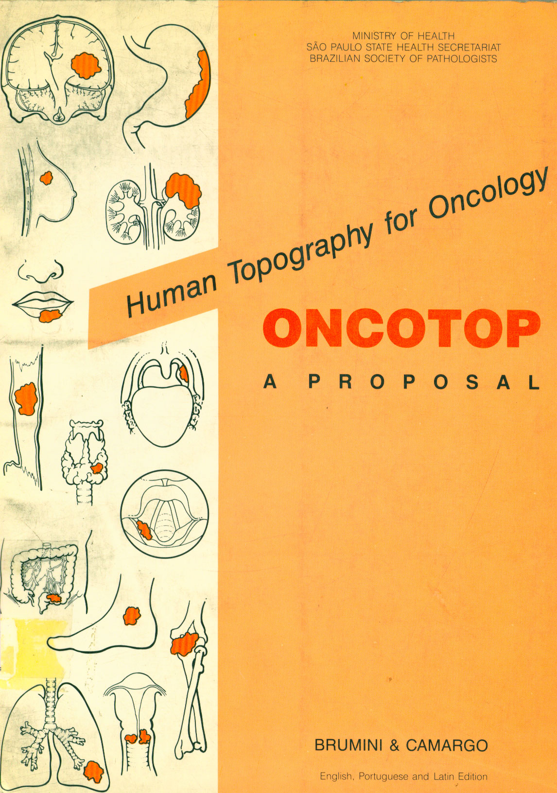 Human topography for oncology, oncotop a proposal
