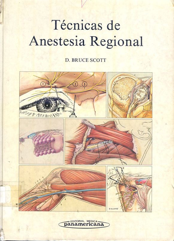 Tecnicas de anestesia regional
      <i>es</i>
