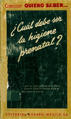 ¿Cuál debe ser la higiene prenatal?
      <i>es</i>