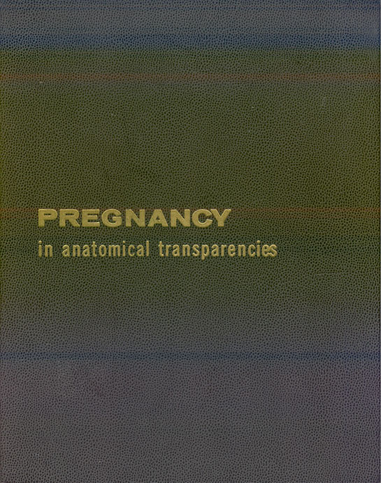 Pregnancy in anatomical transparencies