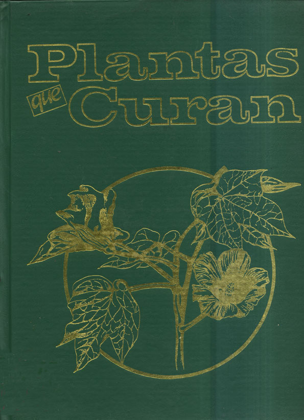 Plantas que curan