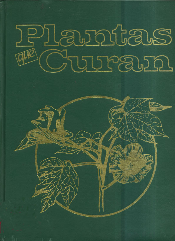 Plantas que curan