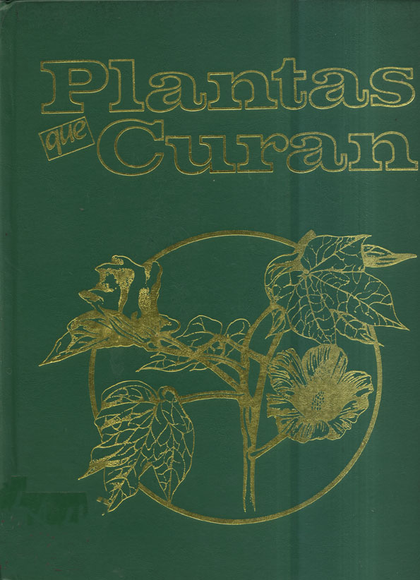 Plantas que curan