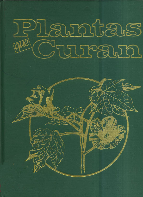 Plantas que curan