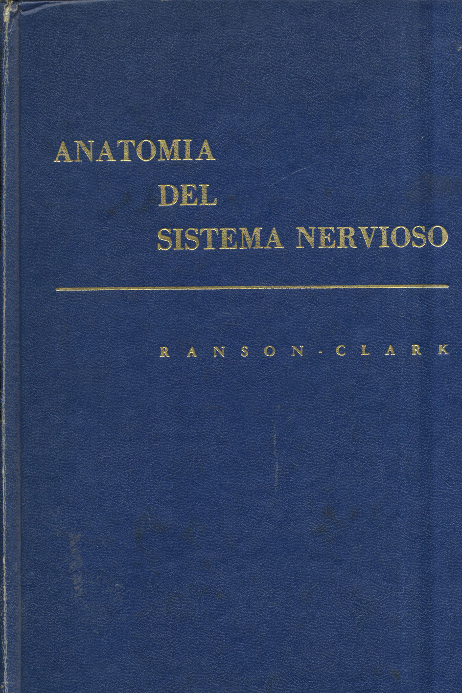 Anatomia del sitema nervioso