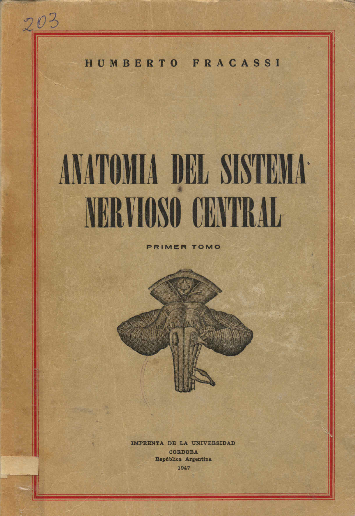 Anatomia del sistema nervioso central