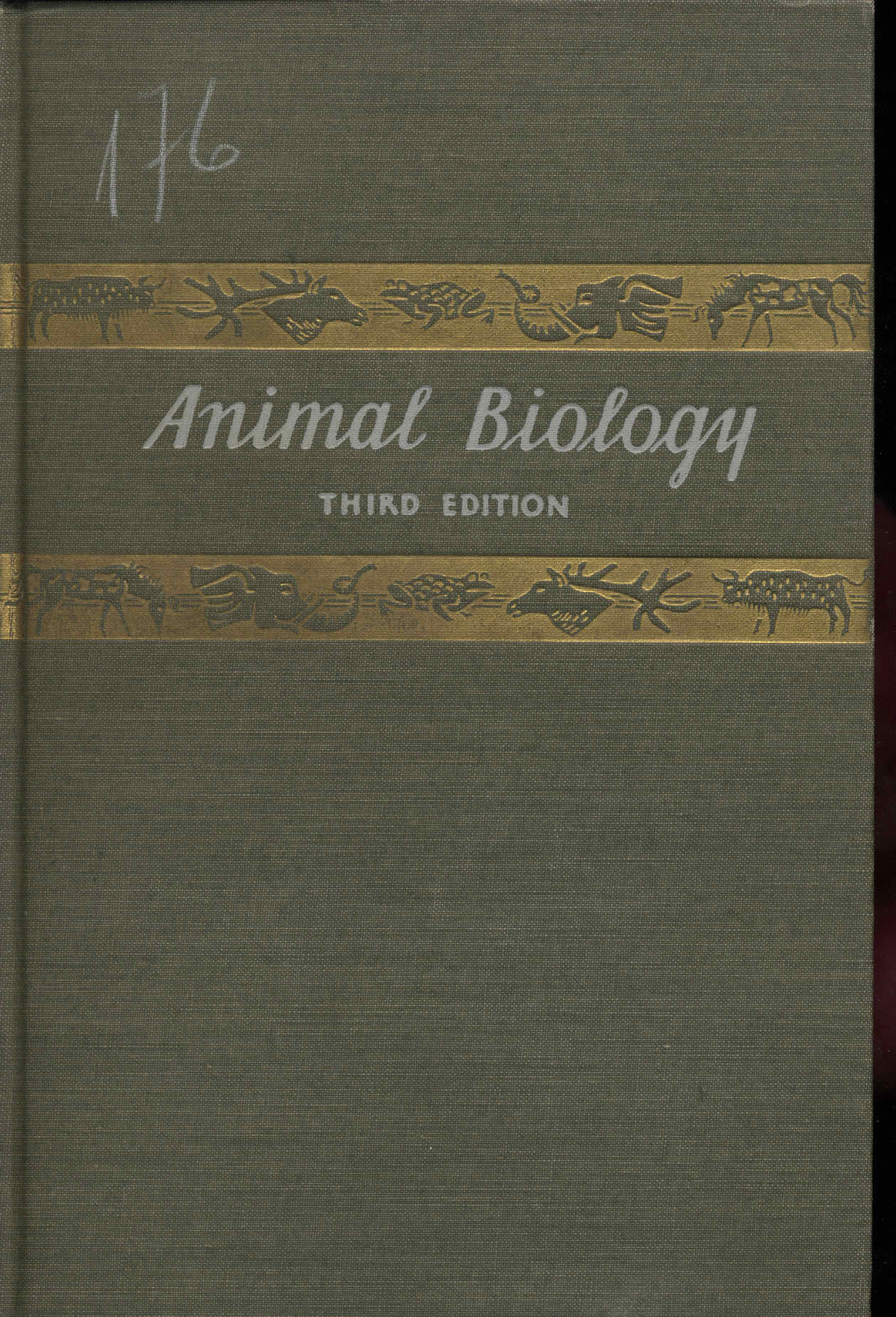Animal Biology