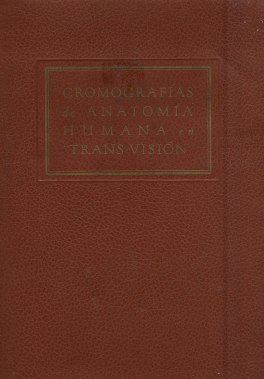 Cromografias de anatomia humana