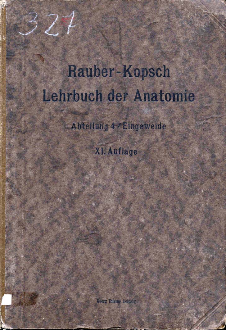 Anatomie des Menschen