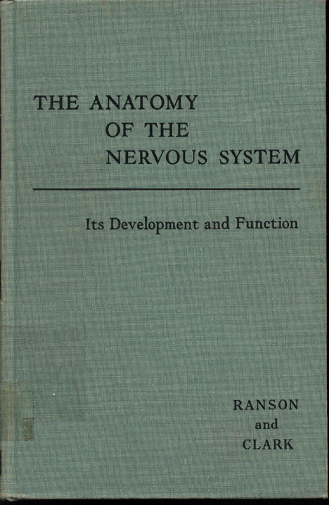 The anatomy of the nervous system