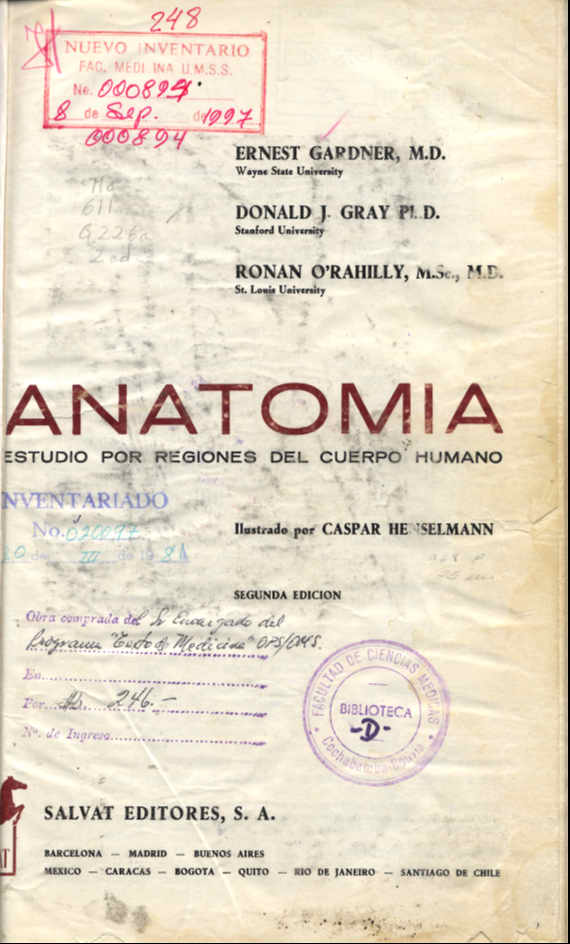 Anatomia; estudio por Regiones del Cuerpo Humano