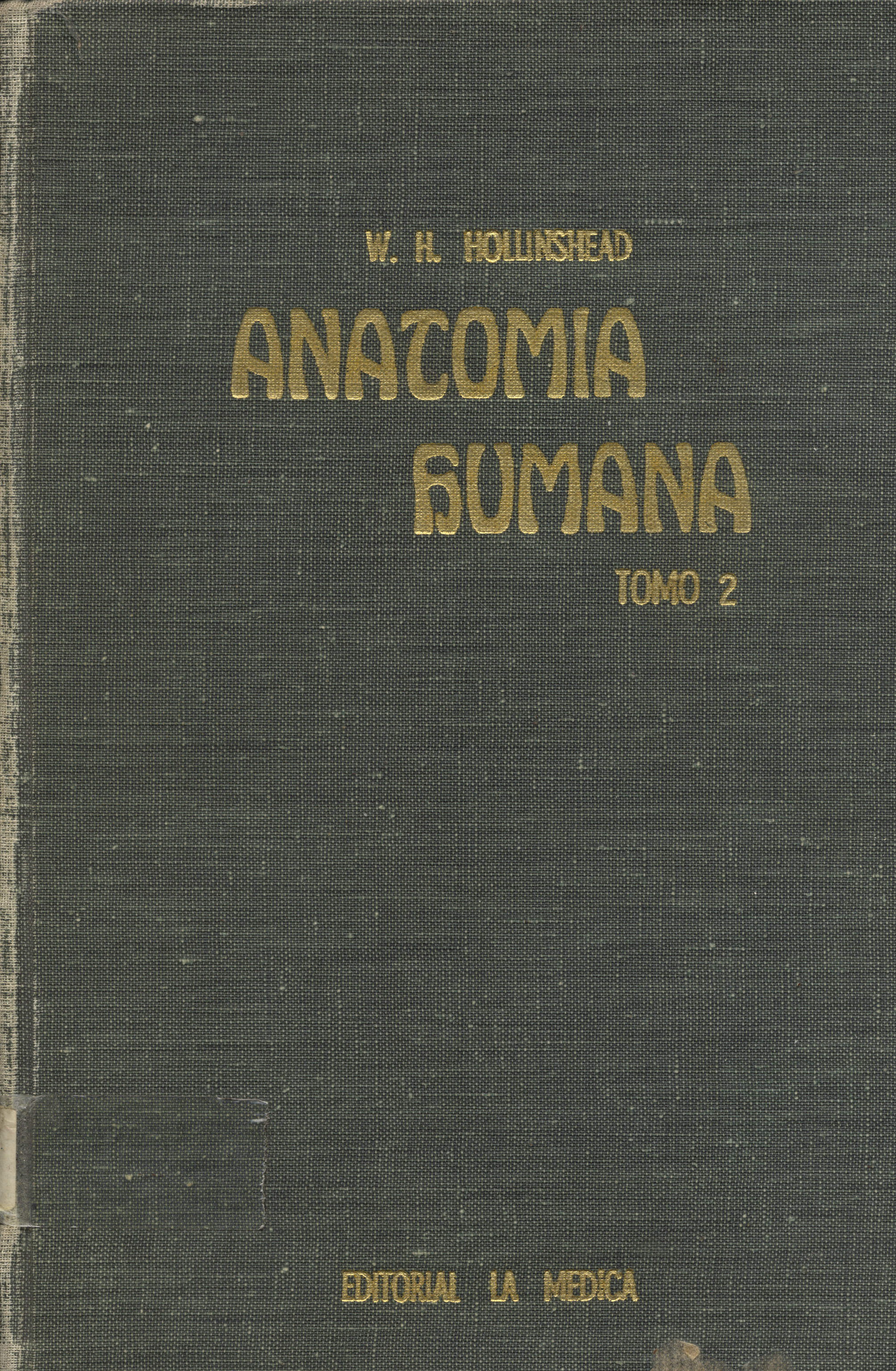 Anatomia humana