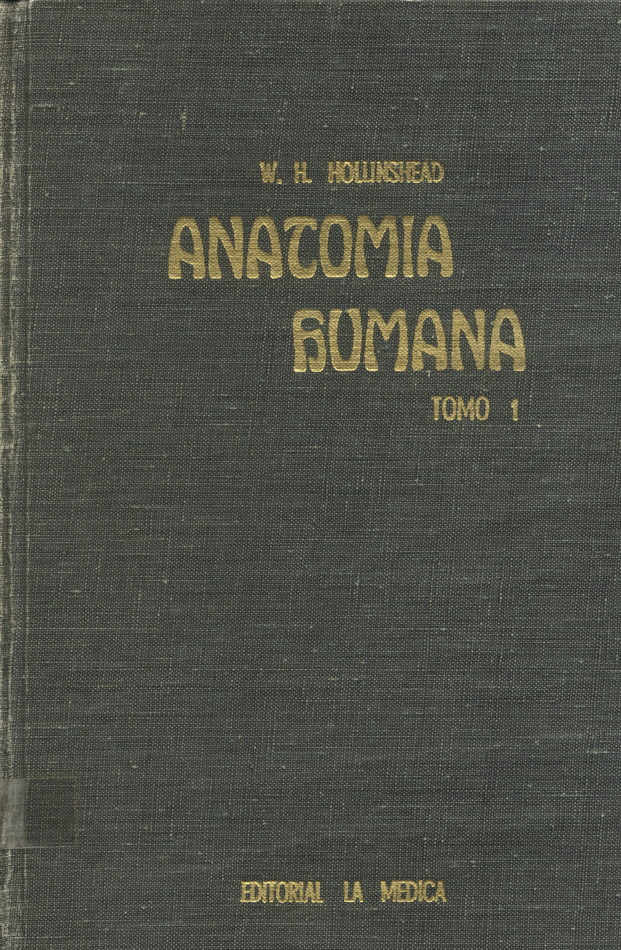 Anatomia humana