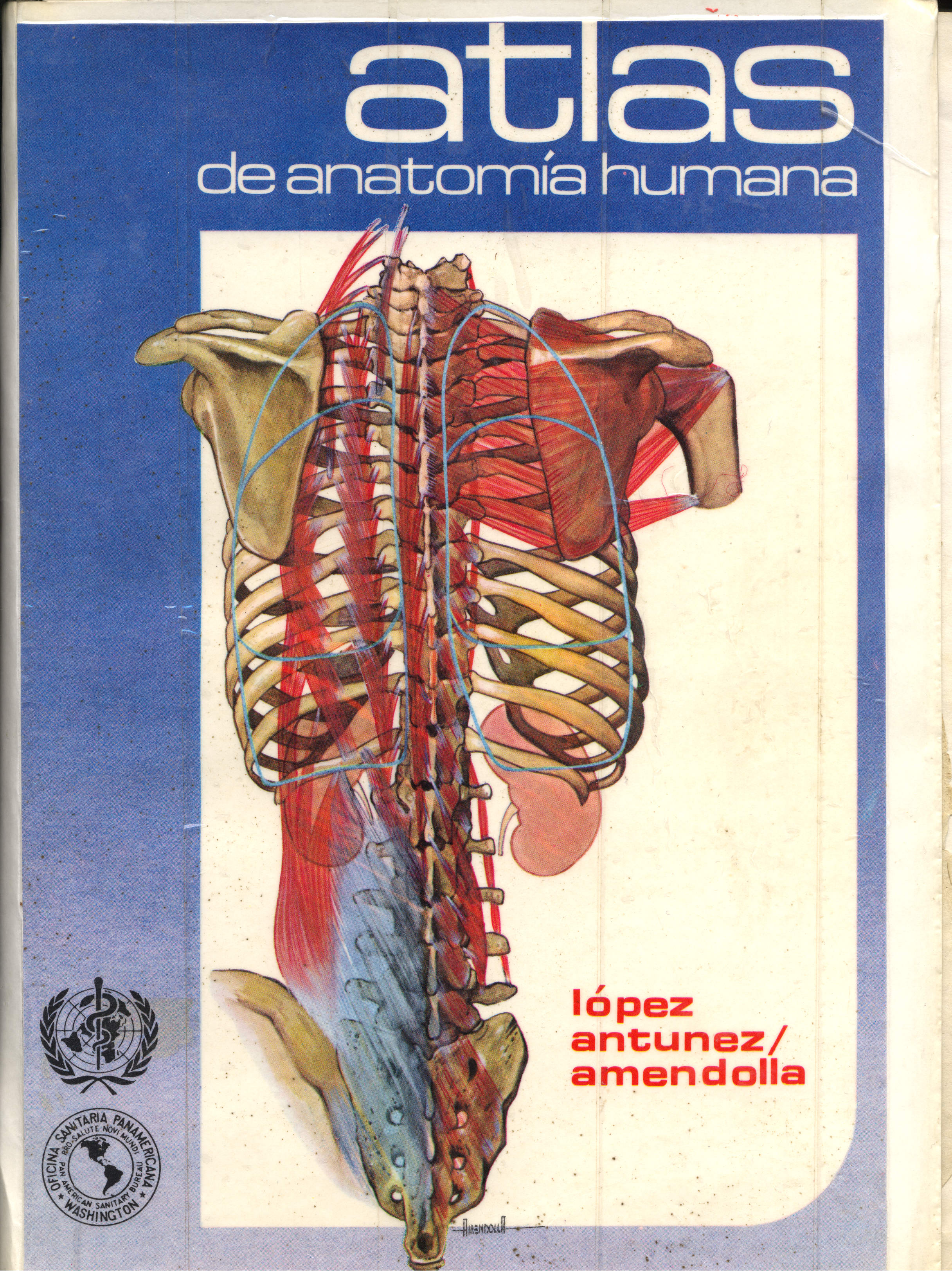 Atlas de Anatomia Humana
