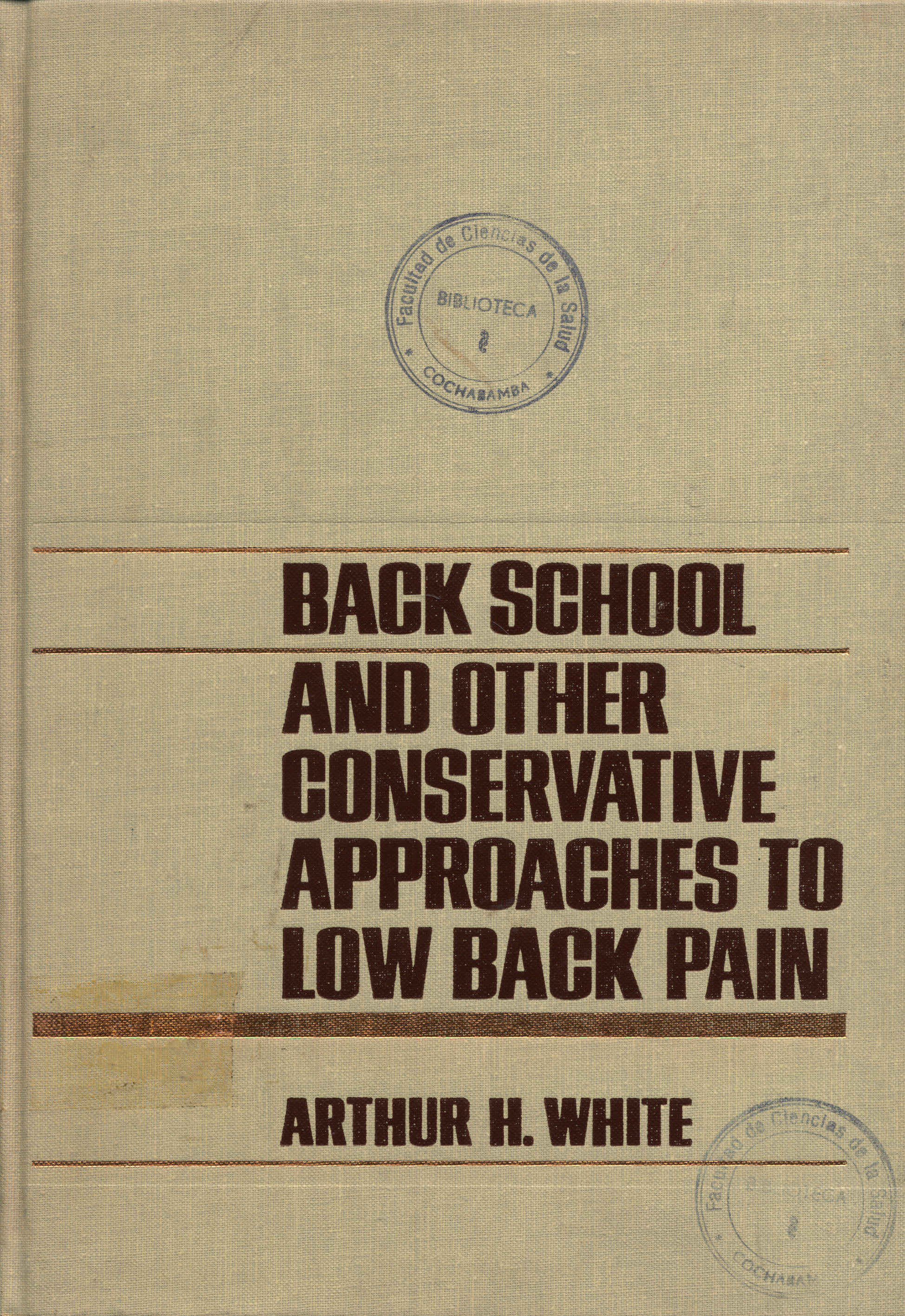 Back School and Other Conservative Approaches to Low Back Pain