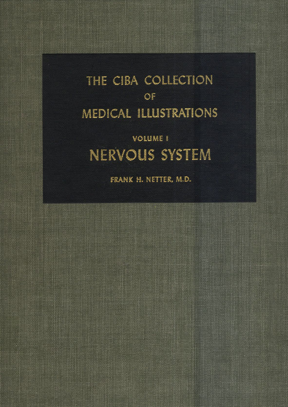 Nervous System