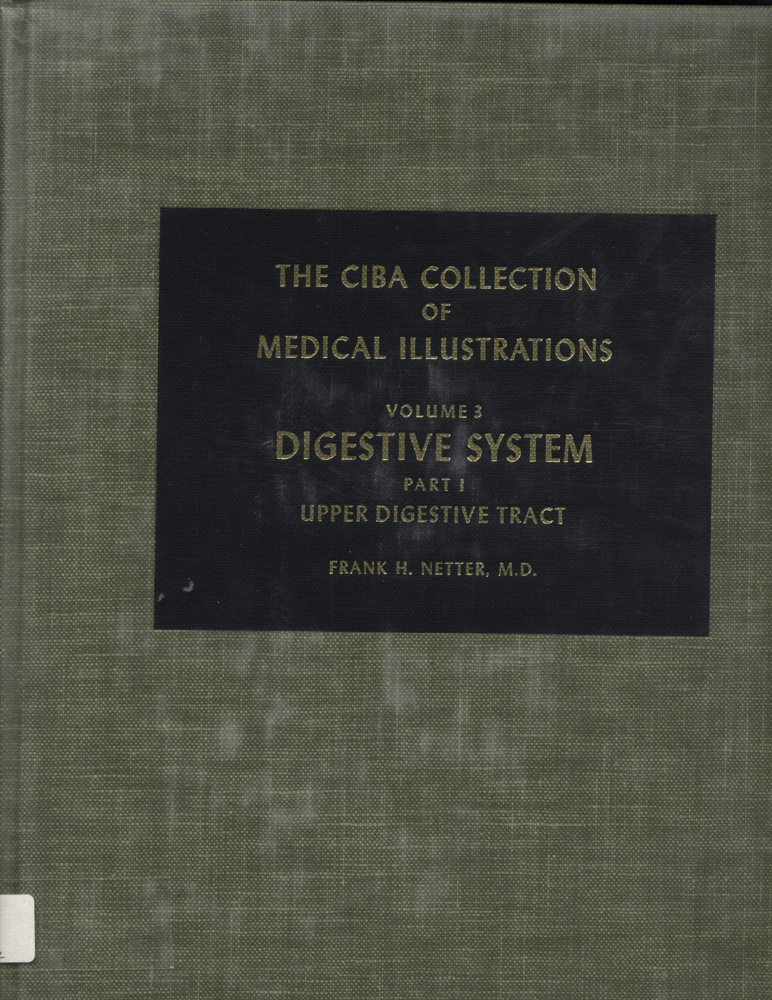 Digestive System parte I  Upper Digestive Tract The Ciba Collection of Medical Illustrations
      <i>en</i>
