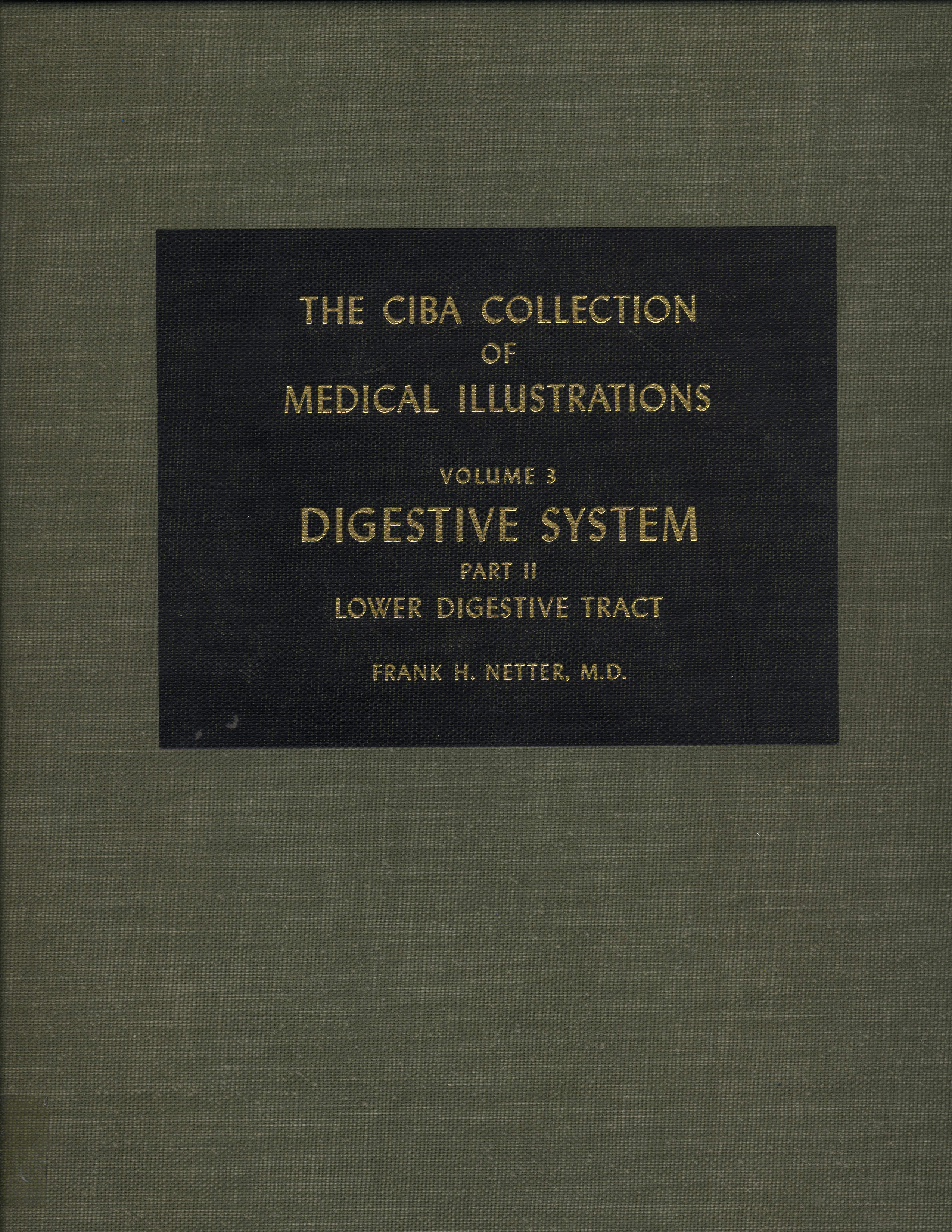 Digestive System parte II Lower Digestive Tract The Ciba Collection of Medical Illustrations