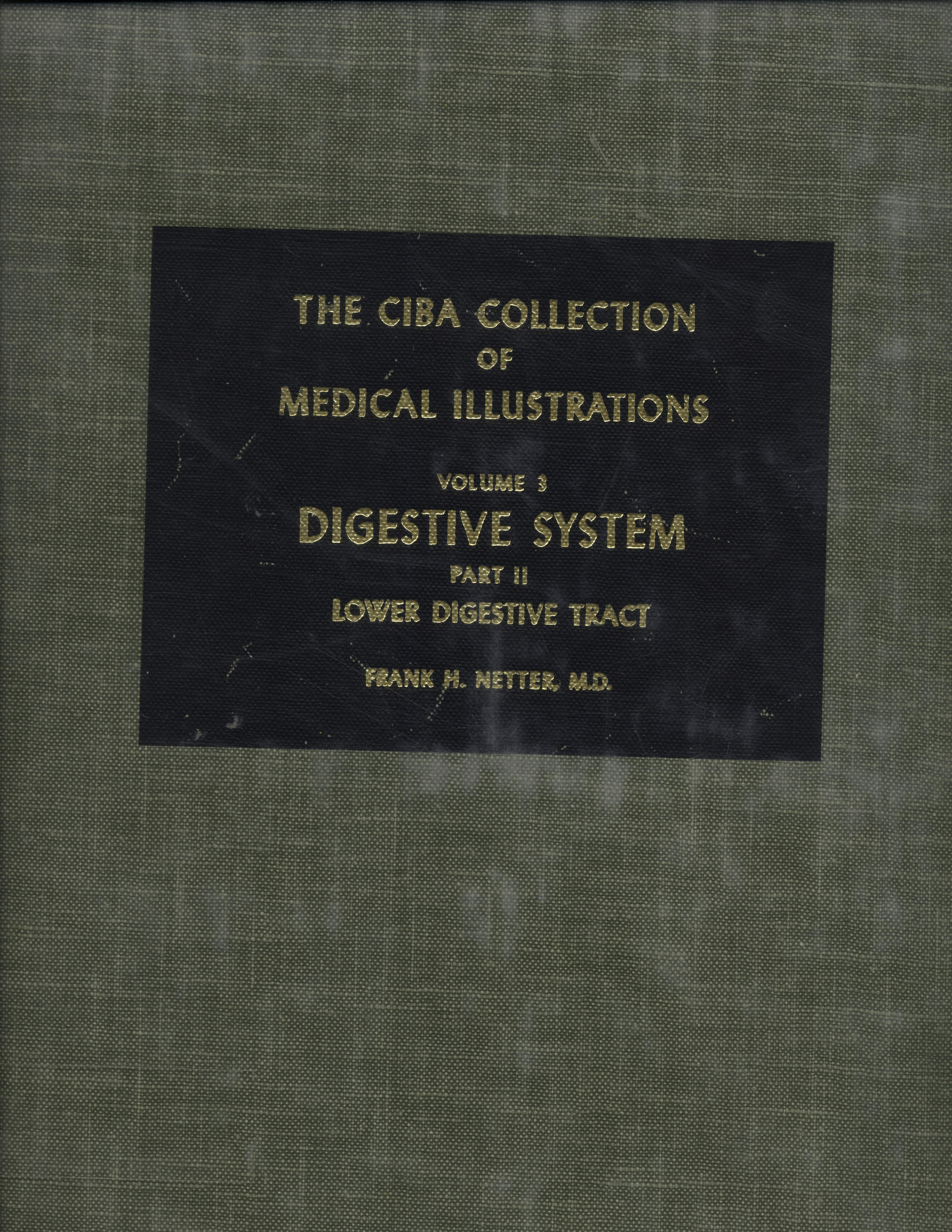 Digestive System parte II Lower Digestive Tract The Ciba Collection of Medical Illustrations