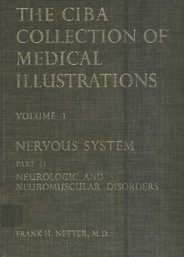 Nervous System parte II