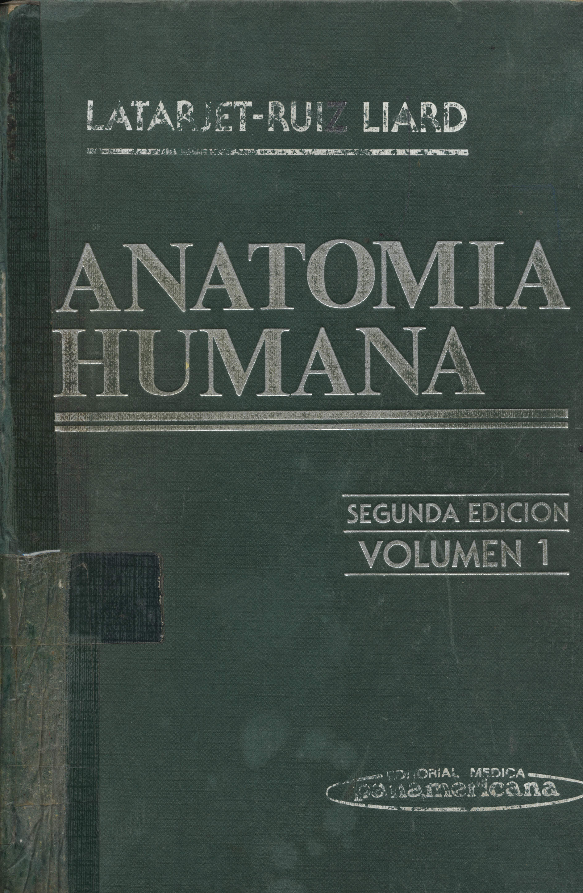Anatomia humana