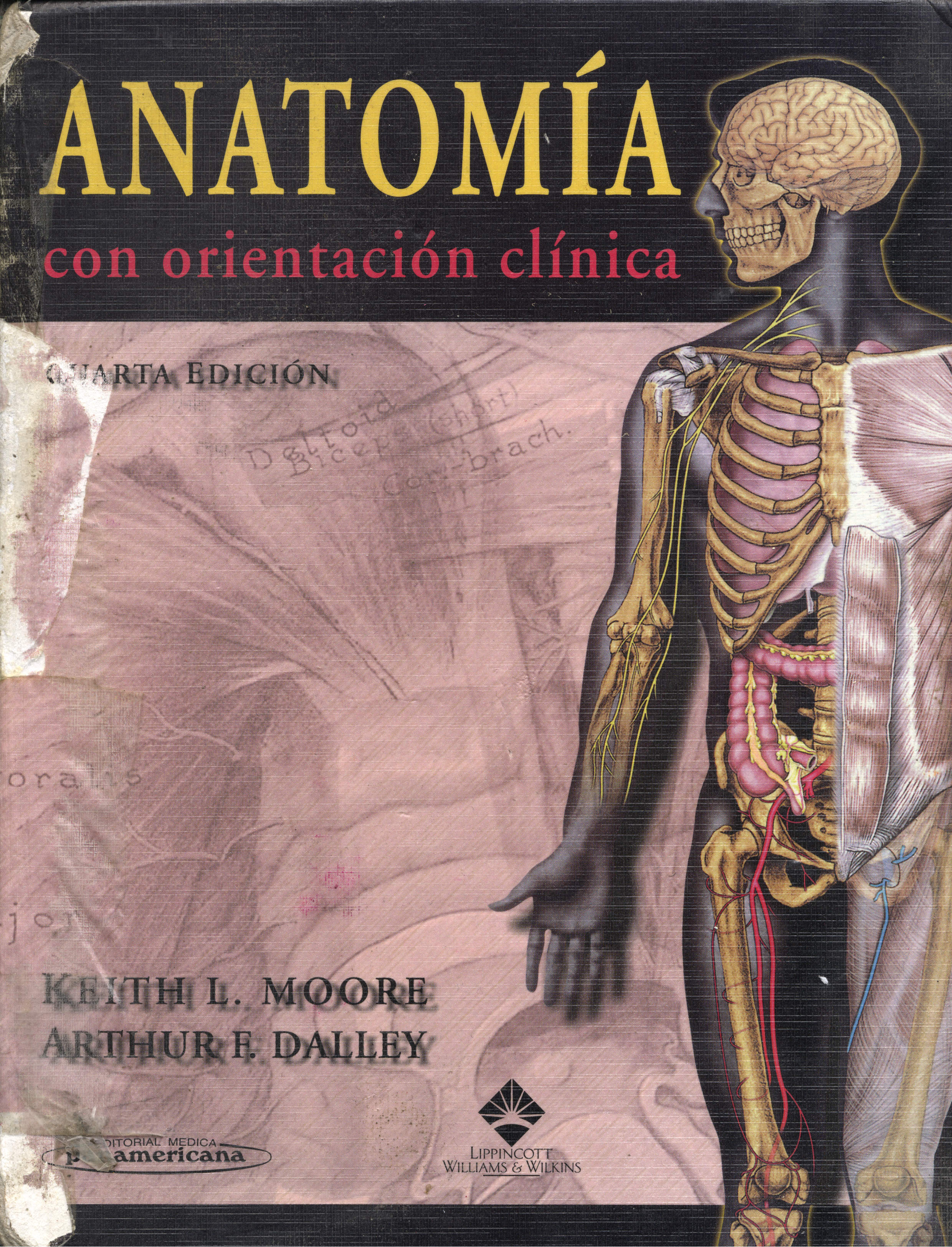 Anatomia con Orientacion Clinica