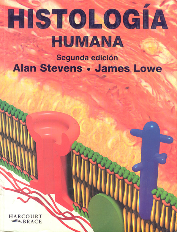 Histologia humana