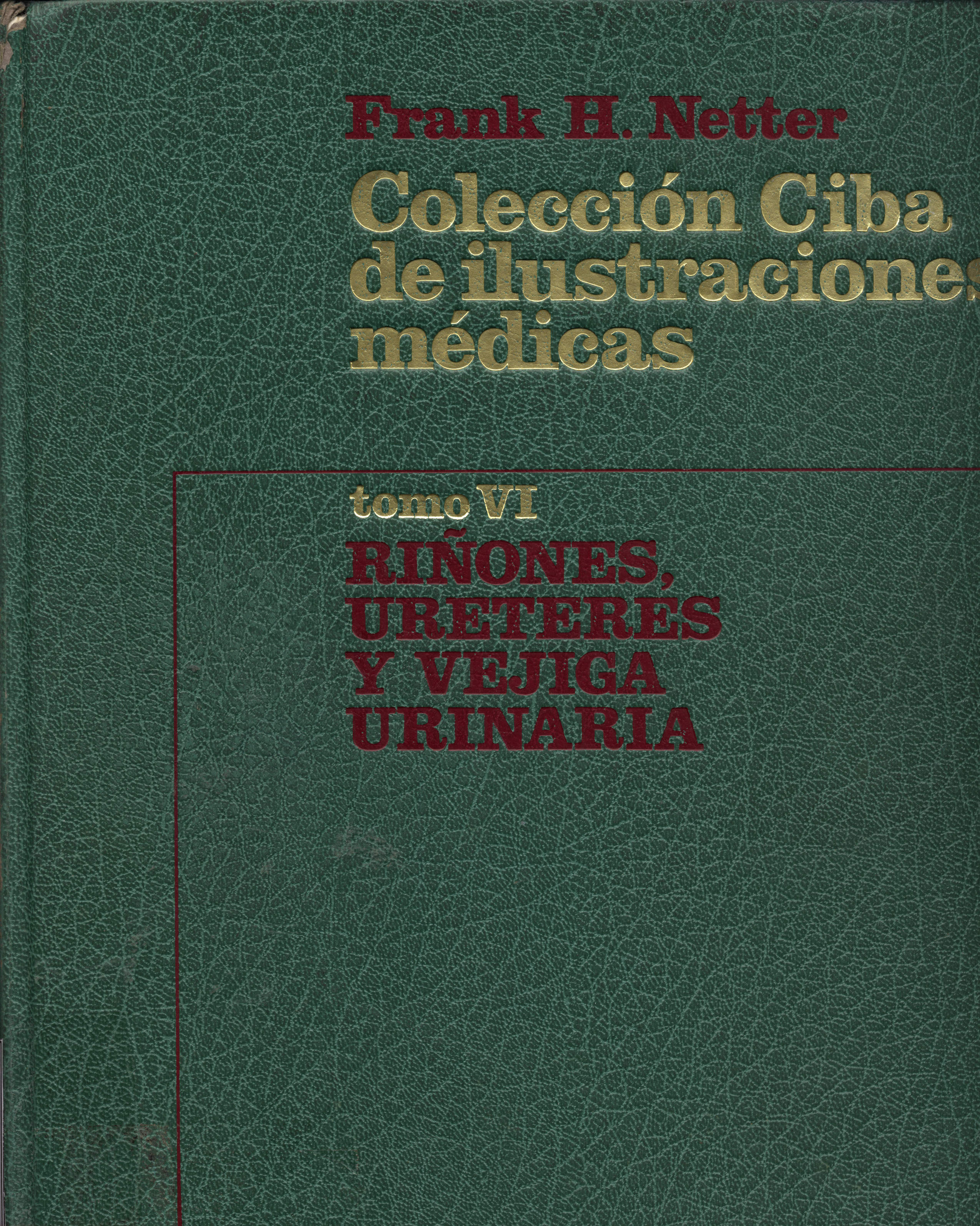 Colección Ciba de ilustraciones medicas: Riñones, ureteres y vejiga urinaria