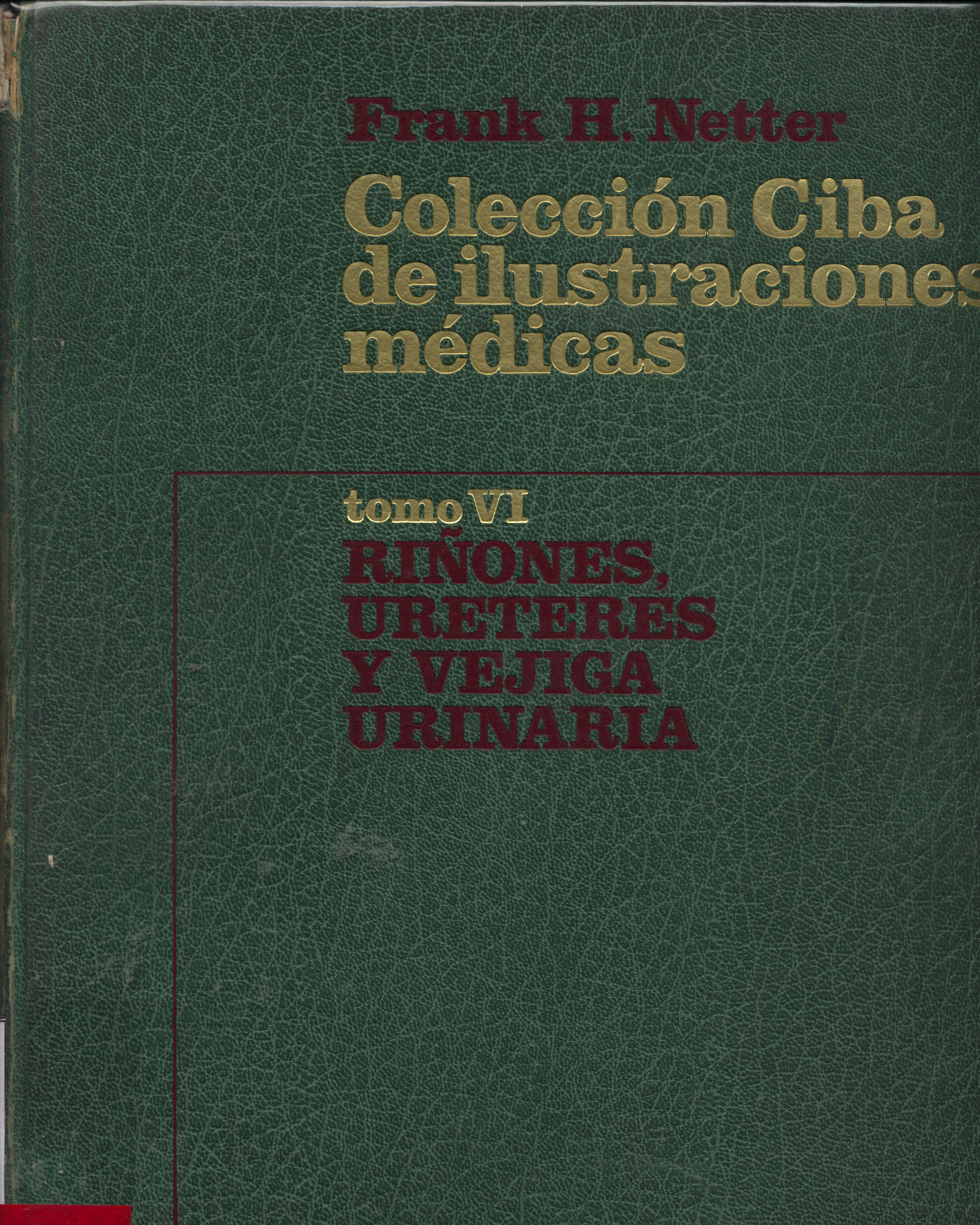 Coleccion Ciba de ilustraciones Medicas: Riñones, Ureteres y vejiga urinaria