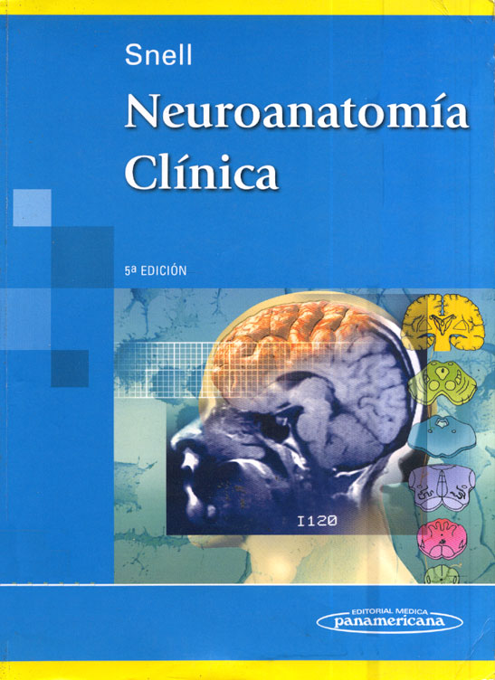 Neuroanatomia clinica