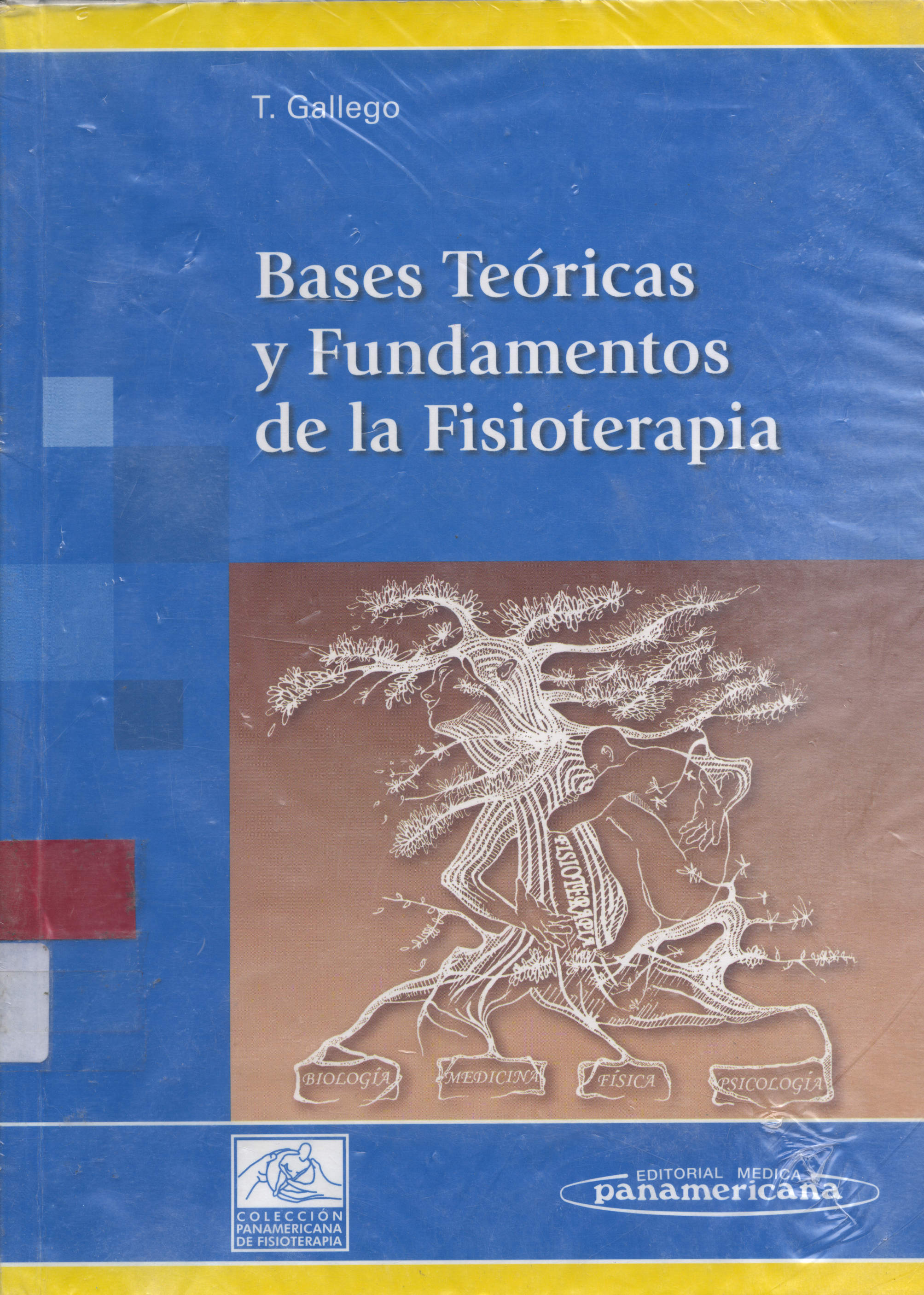 Bases Teóricas y Fundamentos de la Fisioterapia