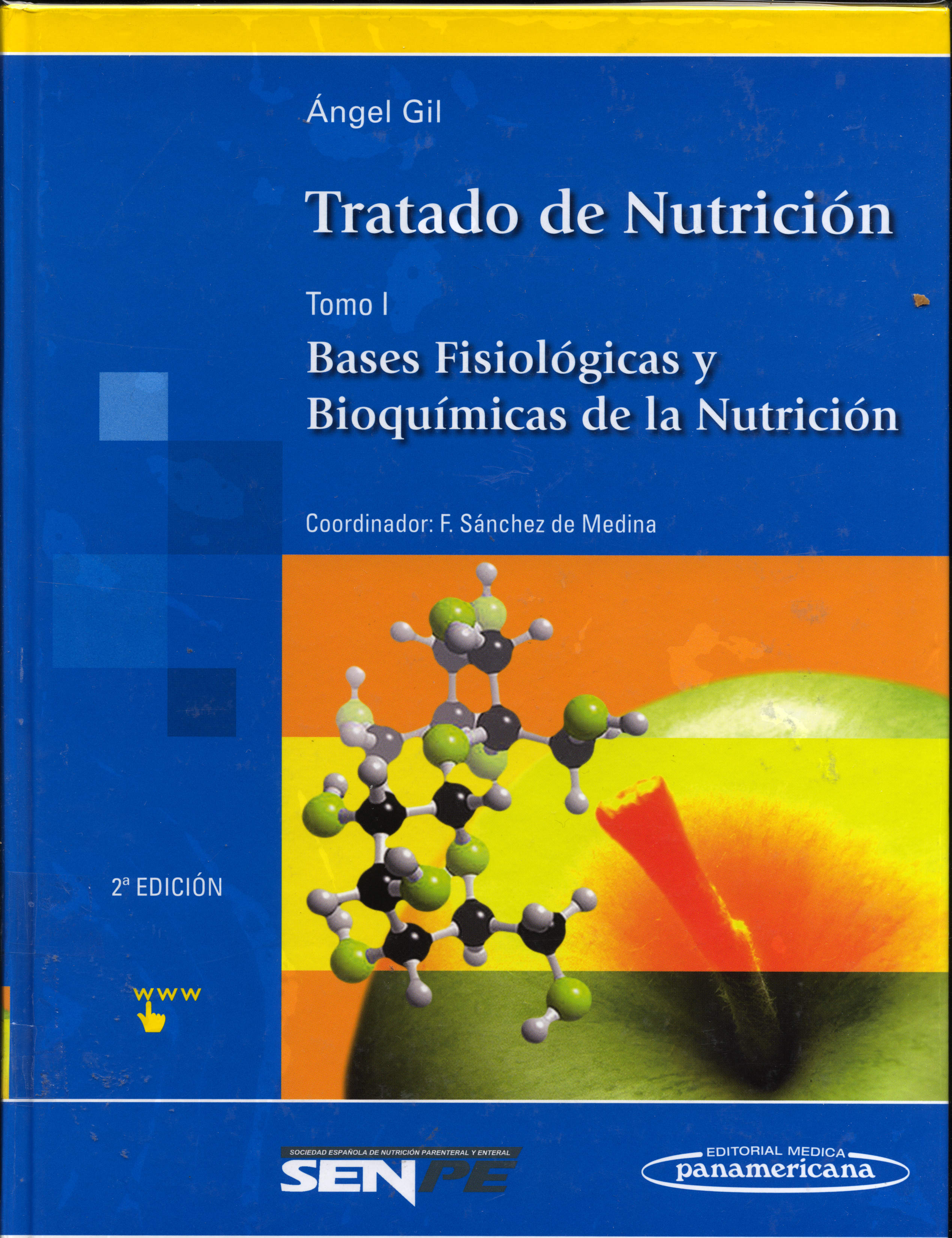 Tratado de Nutrición :Bases Fisiológicas y Bioquimicas de la Nutrición 
      <i>es</i>