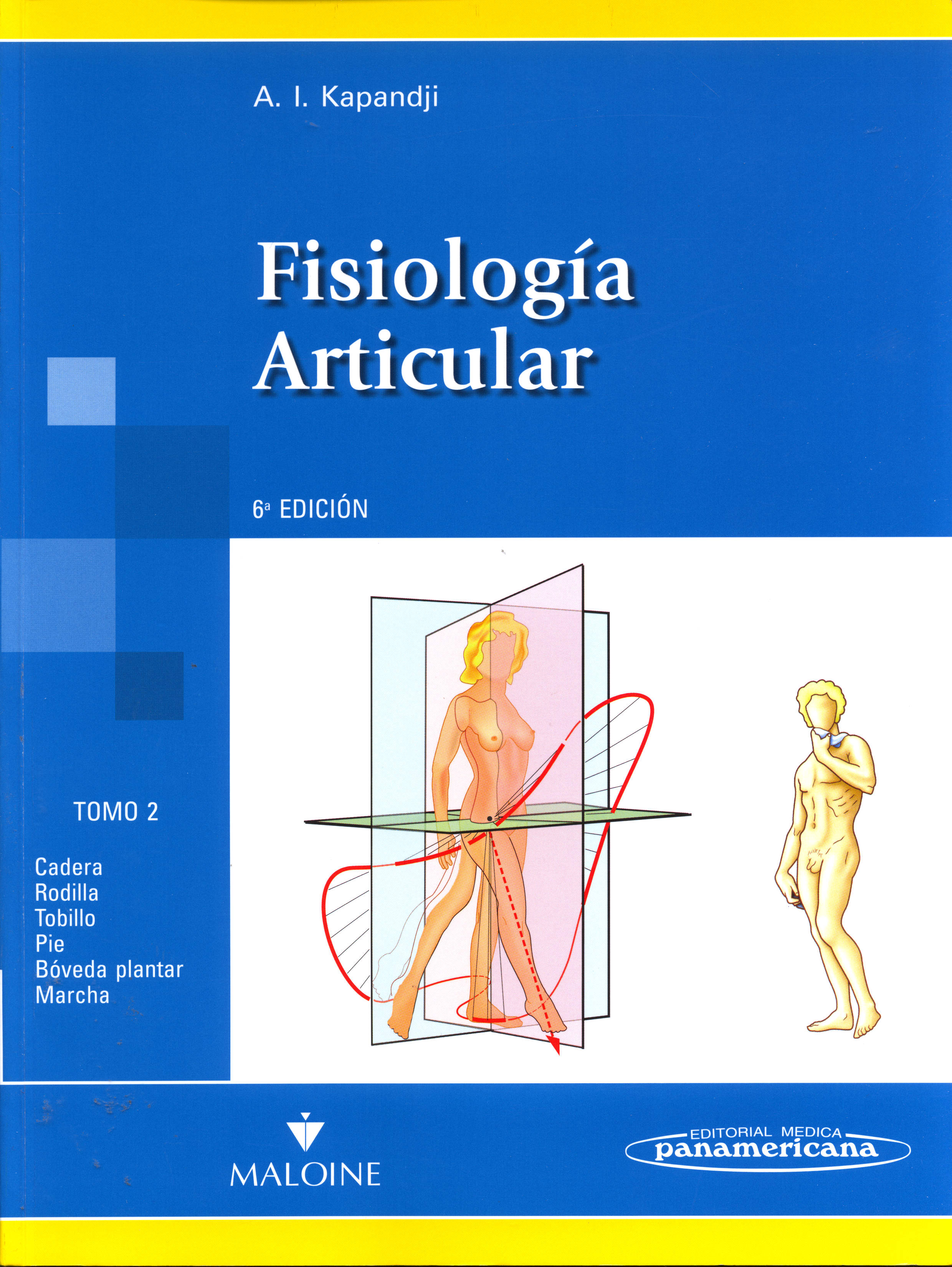 FisiologIa ArtIcular: Esquemas comentados de MecInica humana
      <i>es</i>