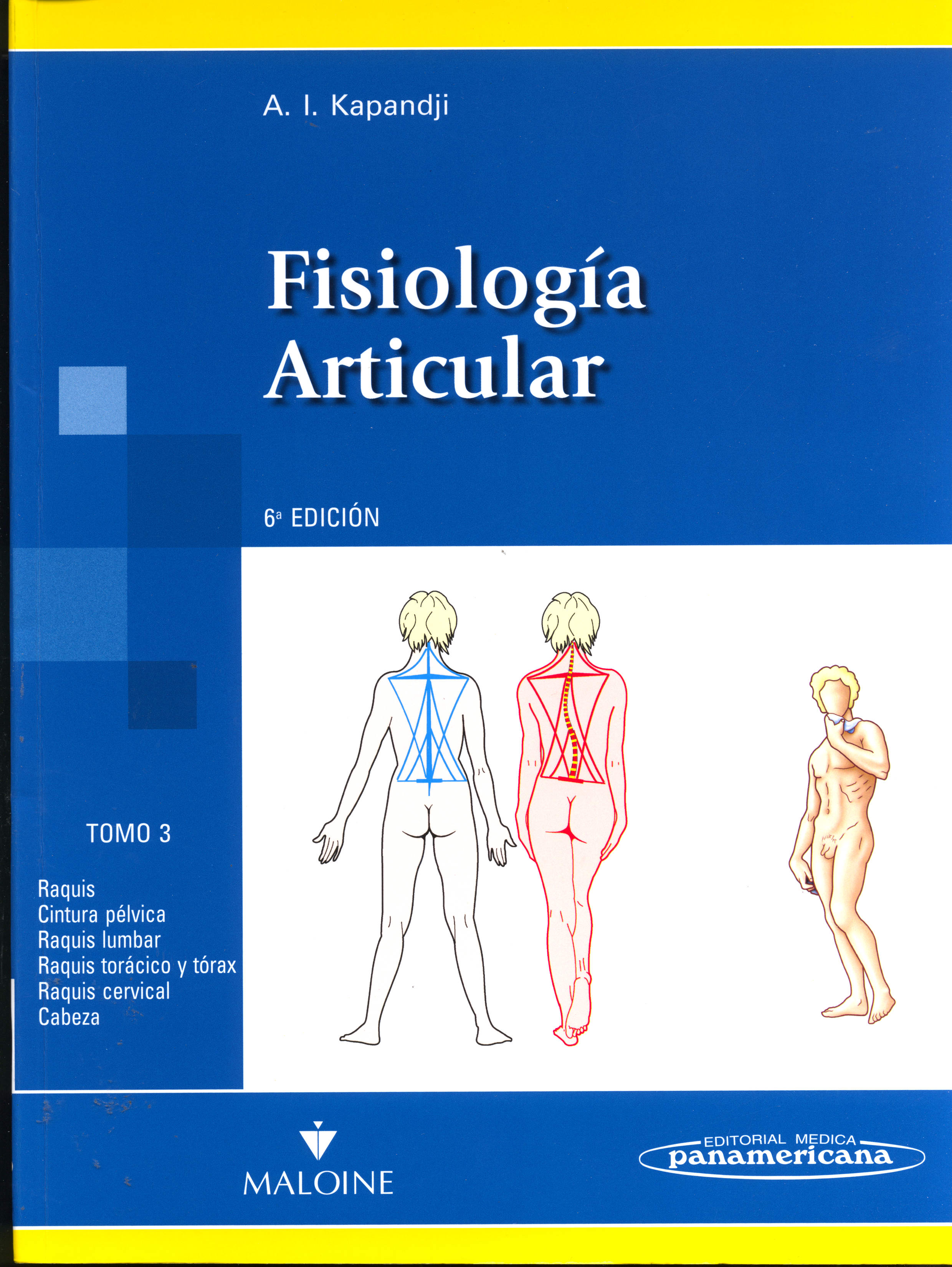 Fisiologia Articular: Dibujos comentados de medicina humana
      <i>es</i>