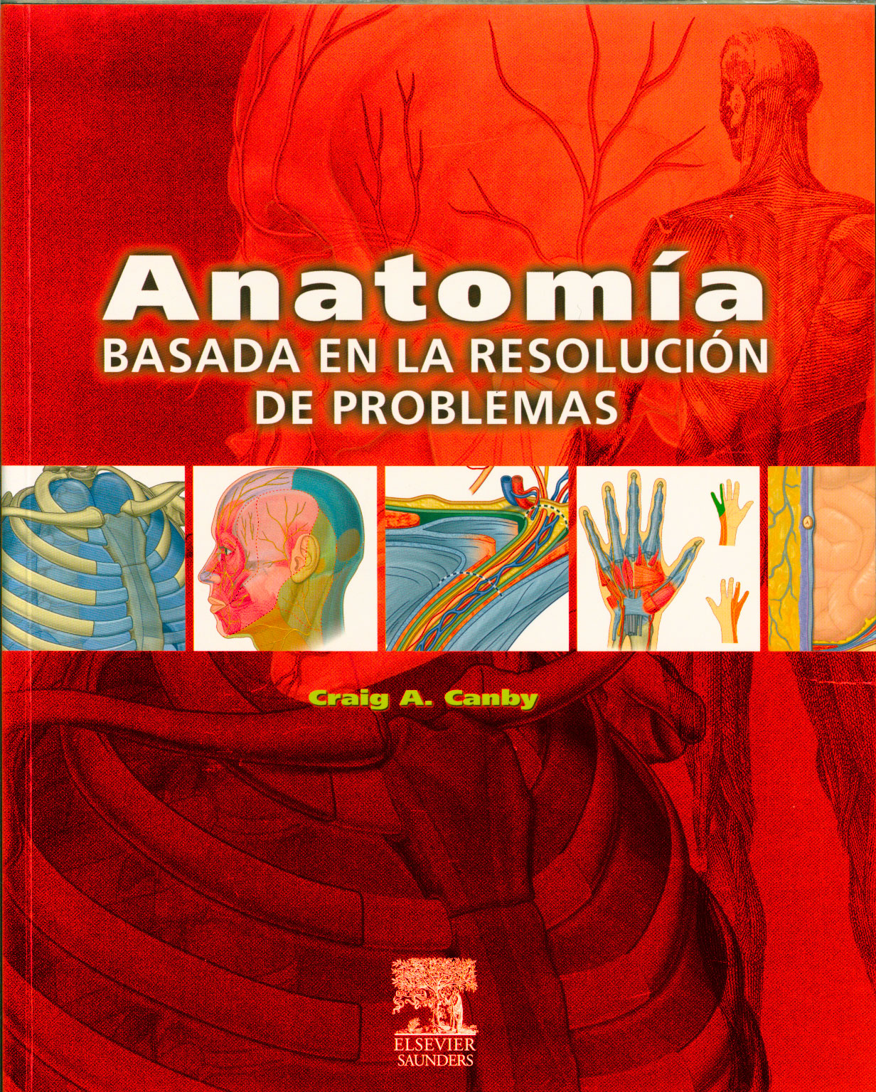 Anatomia basada en la resolución de problemas
      <i>es</i>