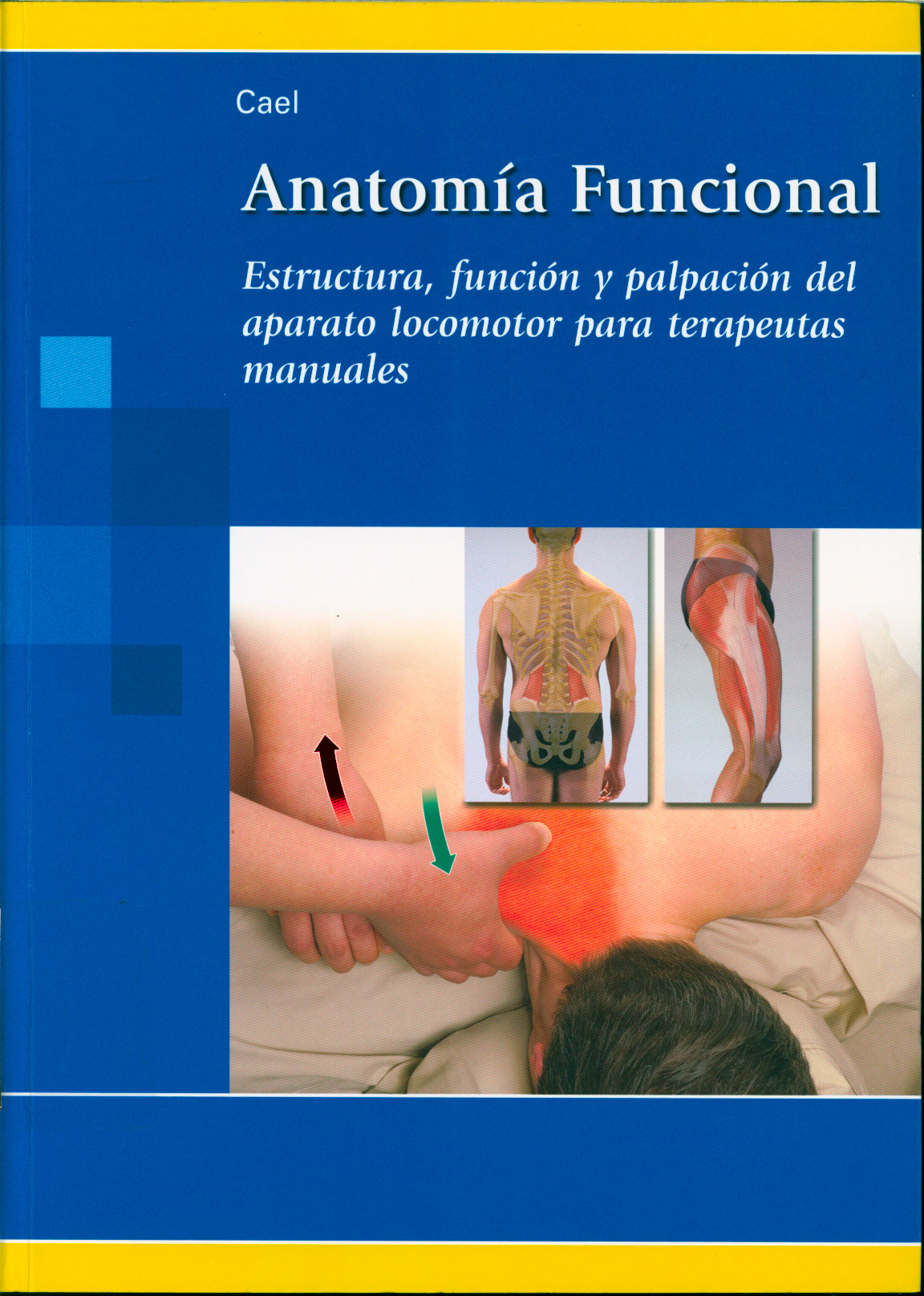 Anatomia funcional: estructura, función y palpación del aparato locomotor para terapeutas manuales
      <i>es</i>