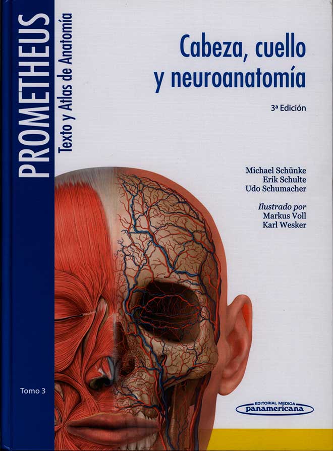 Prometheus texto y atlas: cabeza, cuello y neuroanatomia
      <i>es</i>