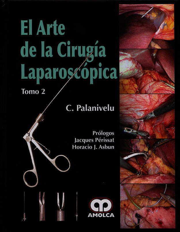 El arte de la cirugia laparoscópica
      <i>es</i>