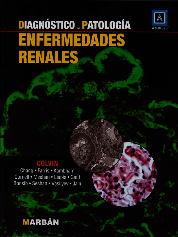 Enfermedades renales: diagnóstico en patologia
      <i>es</i>