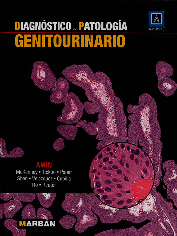 Genitourinario
      <i>es</i>