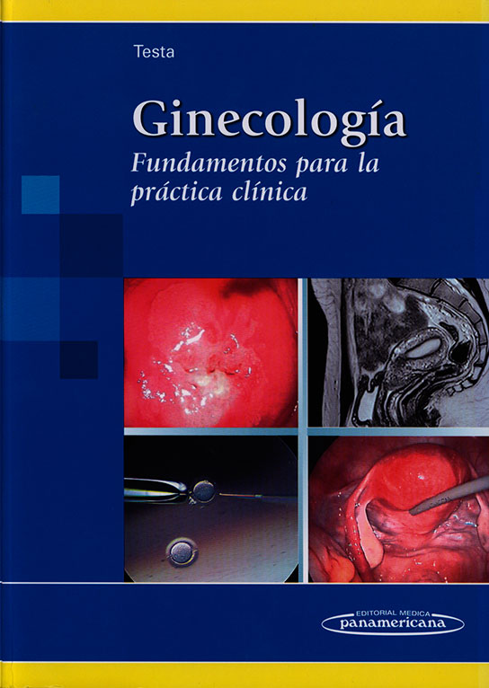 Ginecologia: fundamentos para la practica clinica
      <i>es</i>