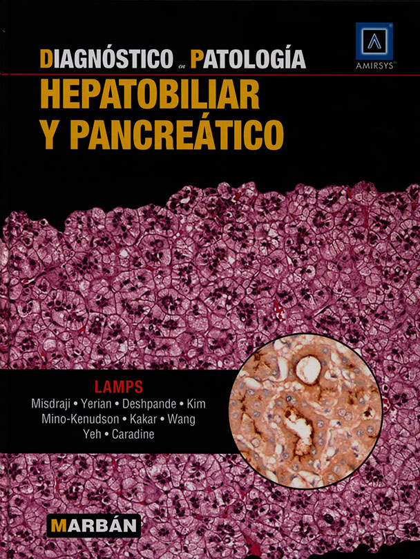 Diagnóstico en patologia hepatobiliar y pancreatico
      <i>es</i>