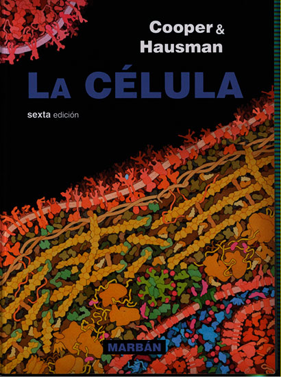 La celula
      <i>es</i>