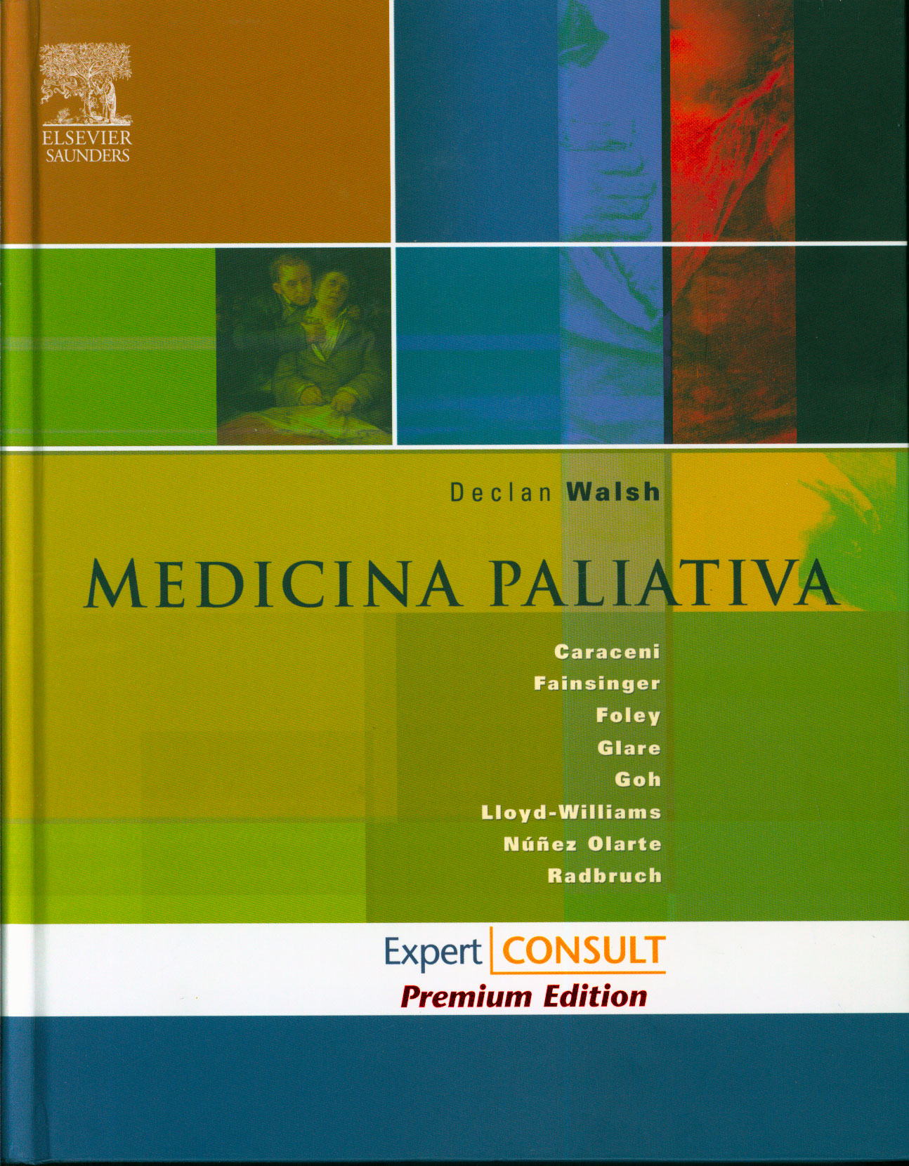 Medicina paliativa
      <i>es</i>