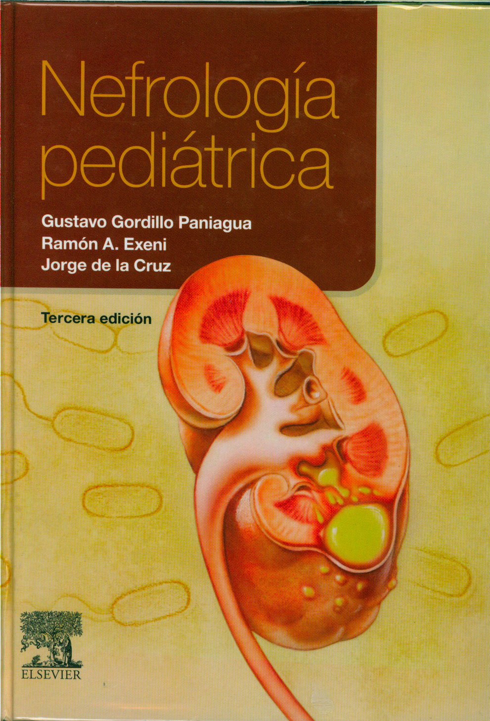 Nefrologia pediatrica
      <i>es</i>